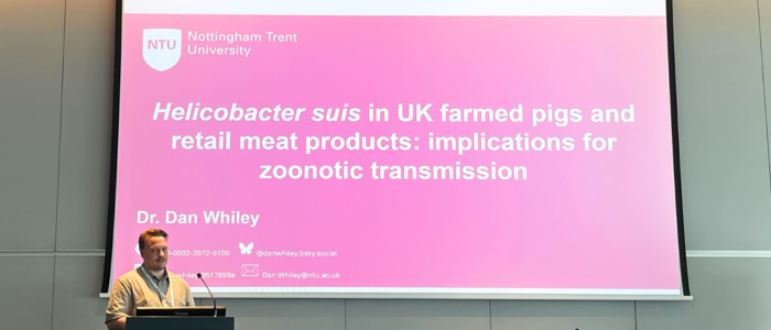 Dan Whiley presenting his research at the Microbiology Society Annual Conference 2025.