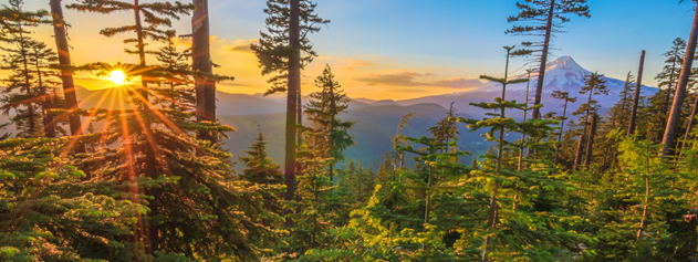 Treescape from Oblong Trees