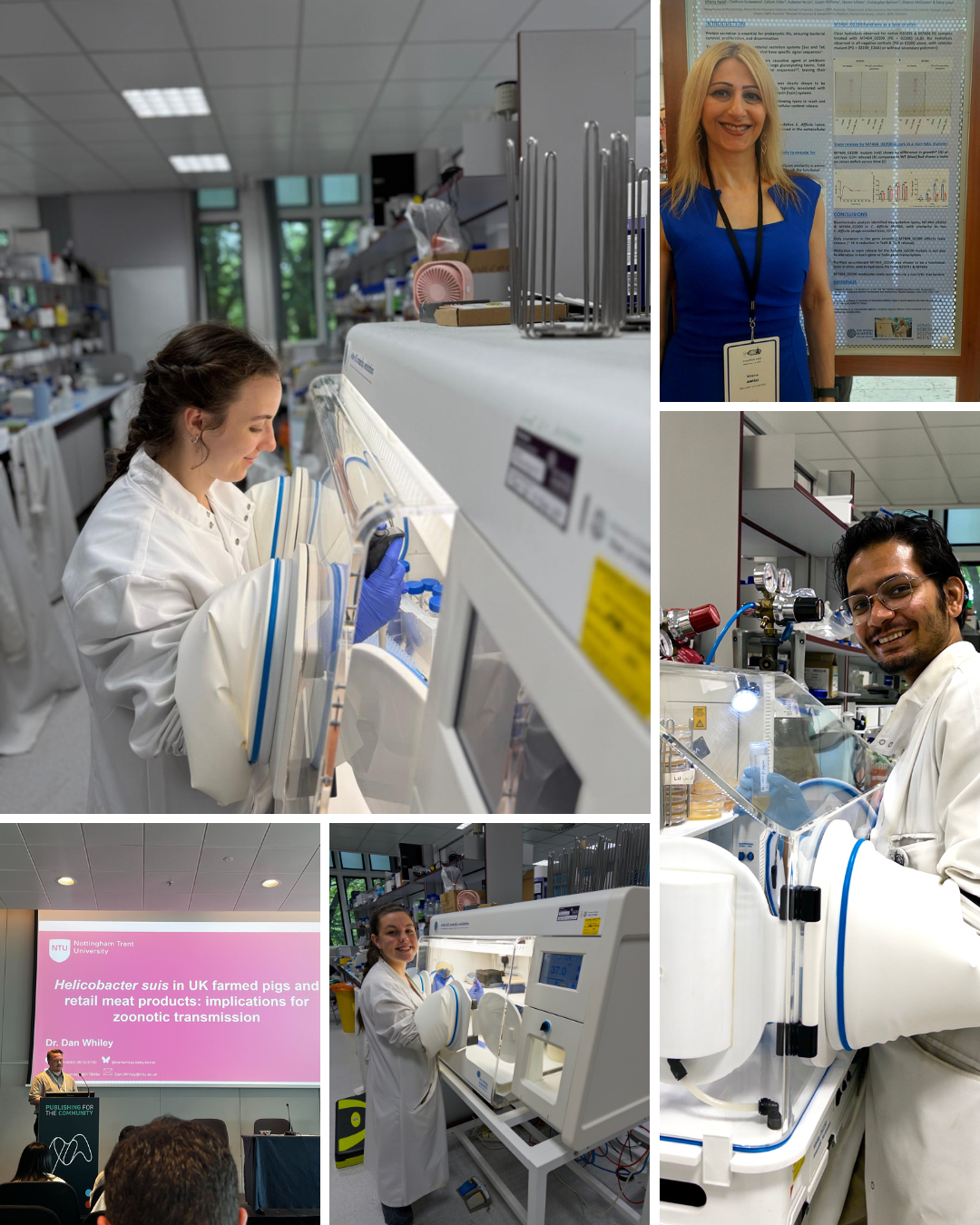 Ribbon graphic advertising £250 towards your conference costs with the Whitley Workstation Travel Grant