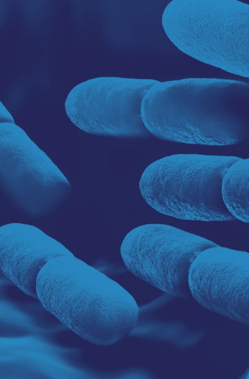 Microbiome graphic