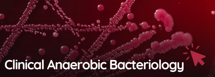 Clinical Bacteriology Webinar Series