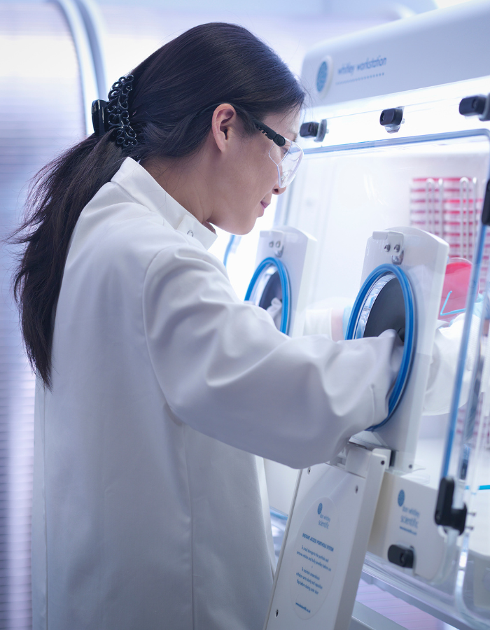 Scientist in lab coat and goggles using anaerobic workstation