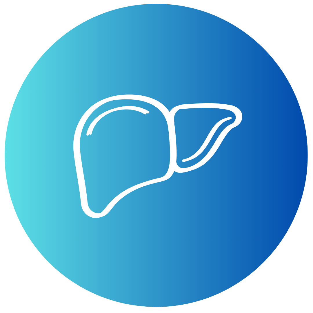 liver icon