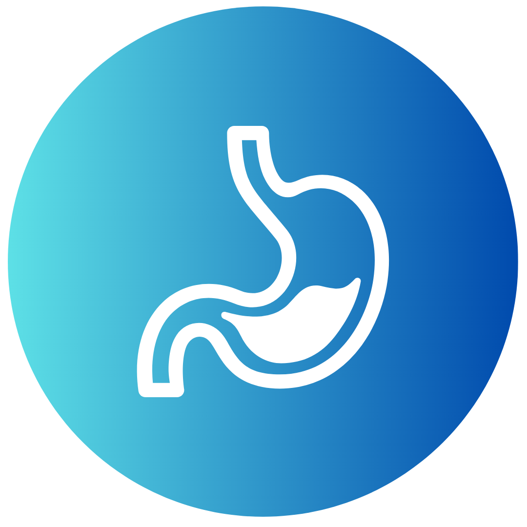 stomach icon