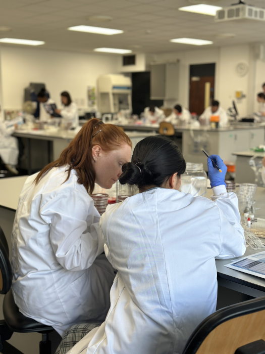 Delegates working in the lab