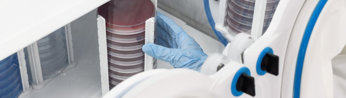 anaerobic workstation with petri dishes 