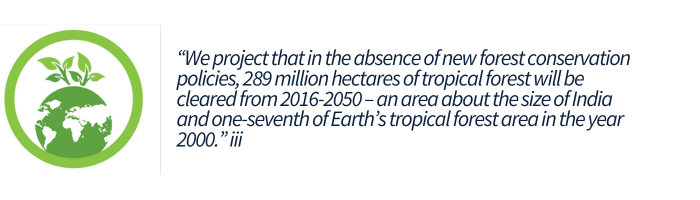 Deforestation Statistic