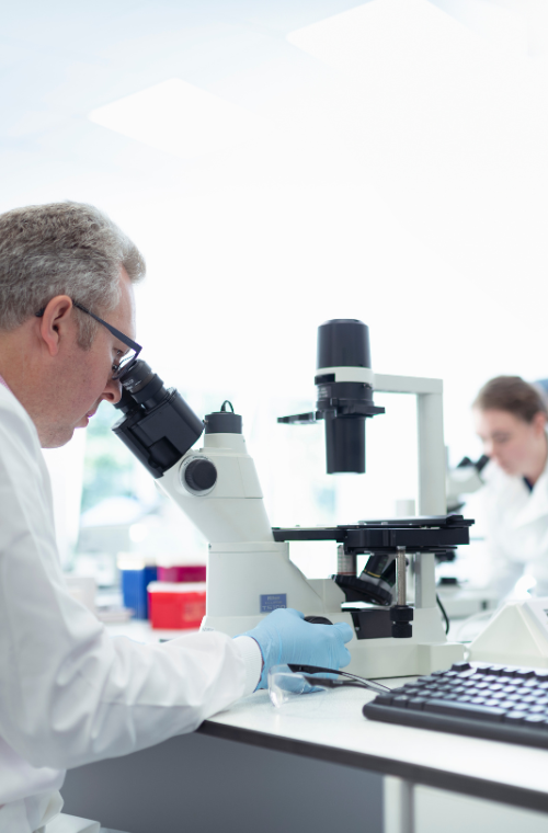 Mycoplasma Testing