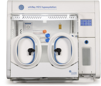 H25 Hypoxystation