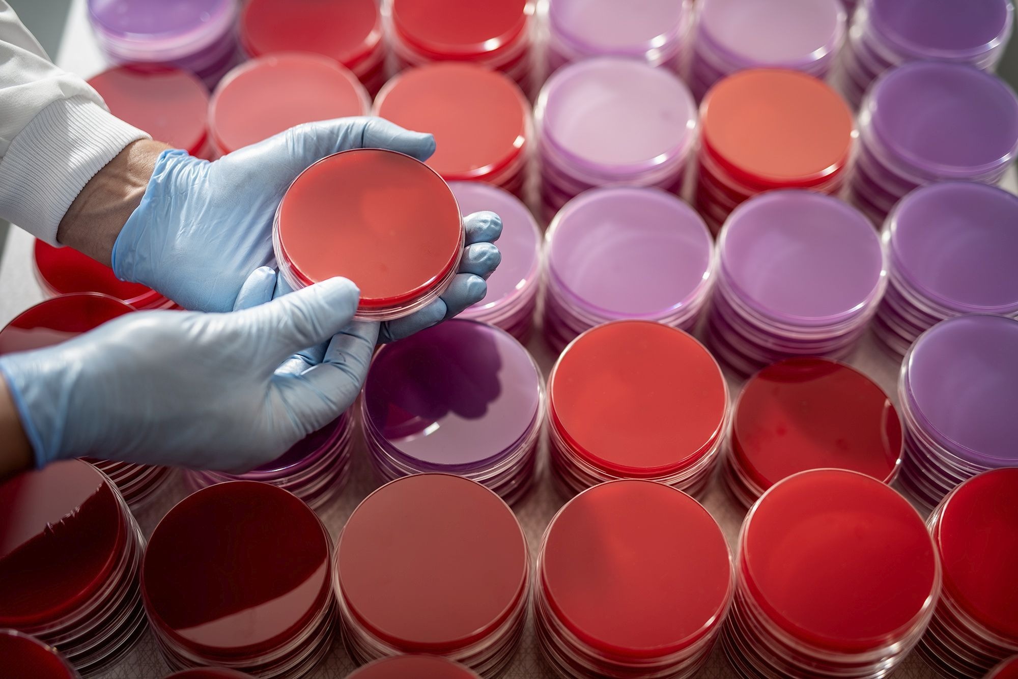 microbiology-laboratory-don-whitley-scientific