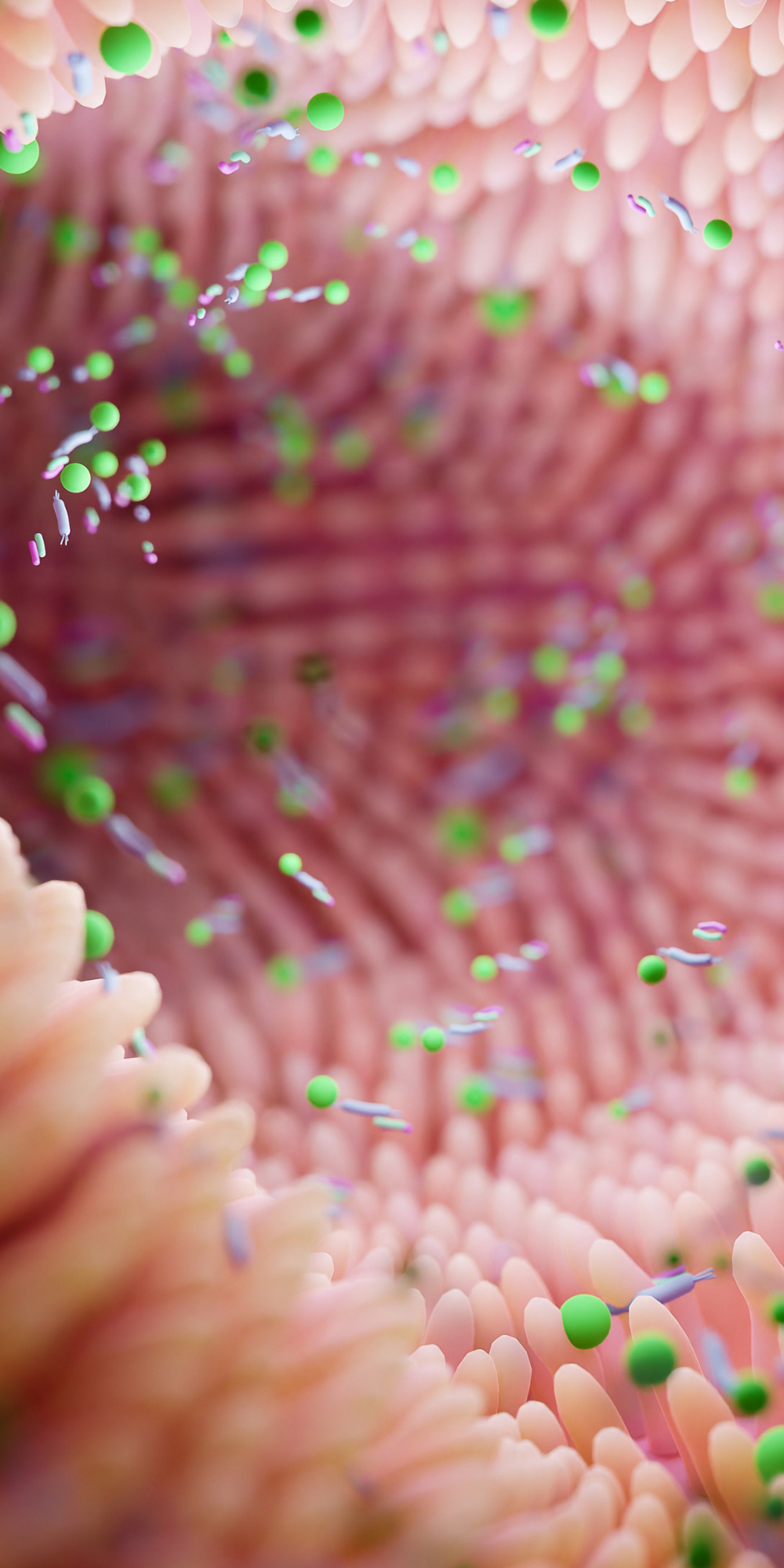 The gut microbiome.
