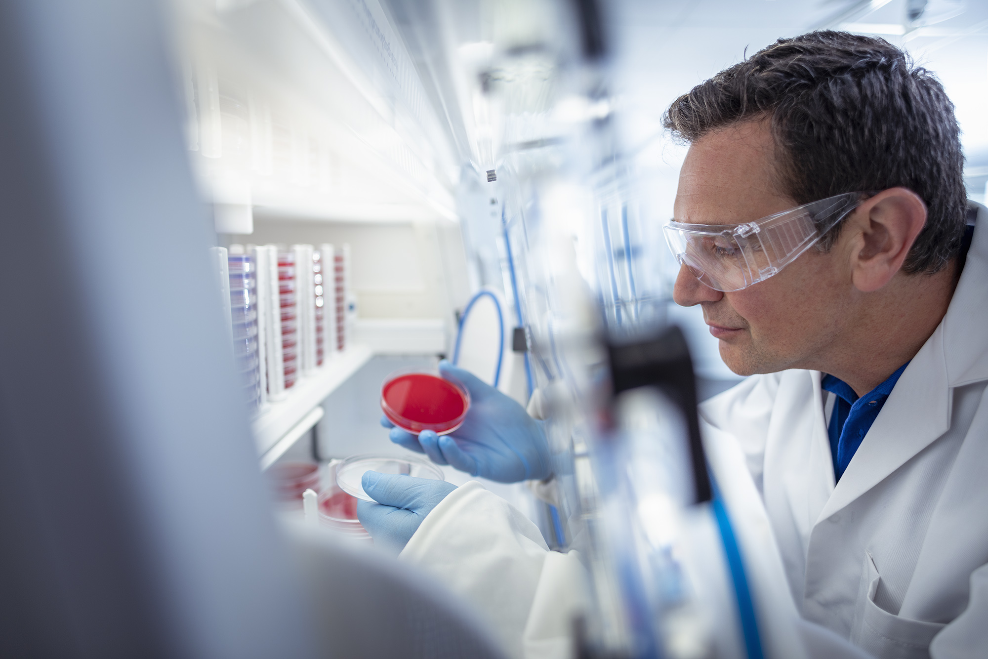 Man in laboratory using workstation