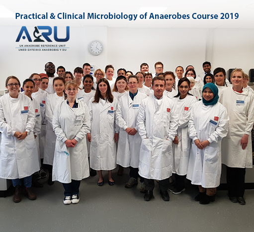 Practical and Clinical Microbiology of anaerobes course photo