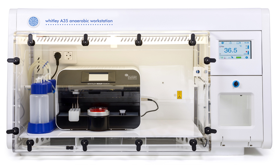 Whitley A35 Anaerobic Workstation