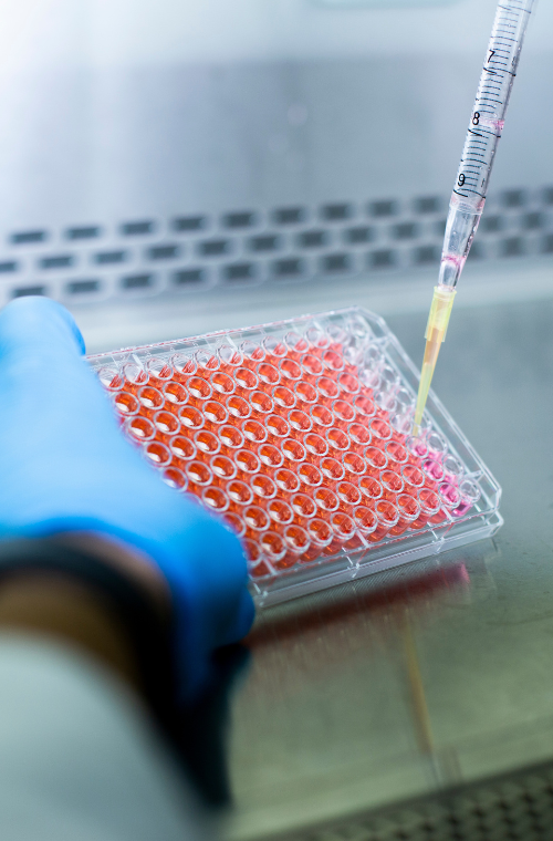 Biotherapeutics