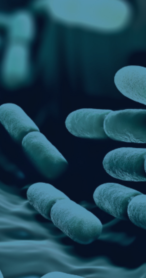 Microbiome graphic
