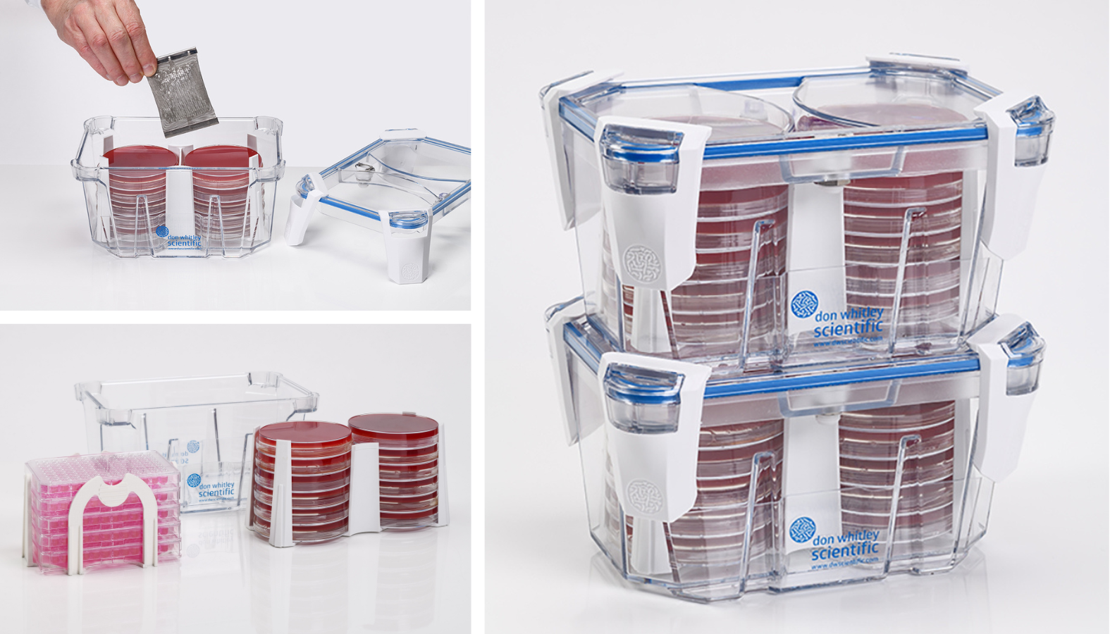 The Whitley Incubation Box is a transparent, stackable jar that saves valuable space inside incubators. This new jar allows for anaerobic or microaerobic conditions to be generated using a Whitley Jar Gassing System or gas generating kits. 