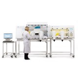 Whitley i2 Workstation attached to a Whitley H35 HEPA Hypoxystation