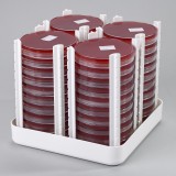 4 x Petri Dish Holders in large Airlock Transfer Tray