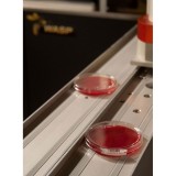 WASPLab Conveyor System