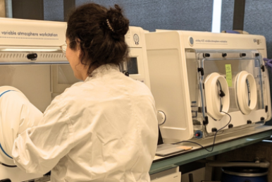 Two microbiologists using two Whitley M35 Workstations in Wageningen, The Netherlands