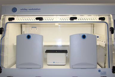Time Lapse Microscopy in a Whitley Workstation