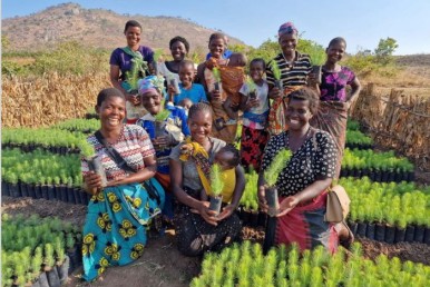 Planting Trees Across the World