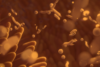 Close up illustration of the microbiome in orange tones
