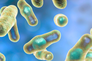Clostridium perfringens