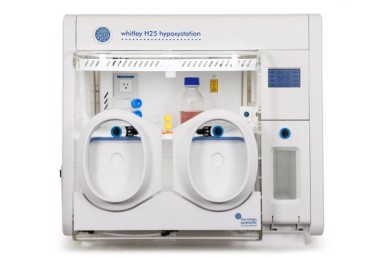 New Hypoxystation Launched - The Smallest Whitley Cell Culture Workstation