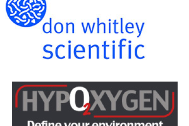 Poldip2 governs cellular metabolism under hypoxic conditions