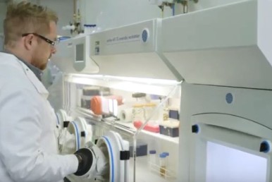 SBRC Uses 12 Whitley Workstations in Anaerobic Clostridia Research