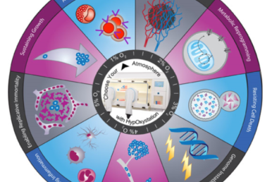 The Hallmarks of Cancer