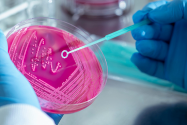 Latest Discoveries in Microbiology Research