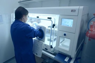 A45 Used in Study of Oral Microbiota