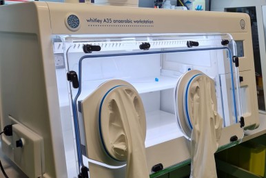 Clavel Research Group Receives a Whitley A35 Anaerobic Workstation