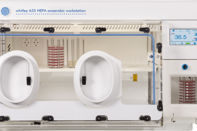 New Scientific Paper: Isolation of Anaerobic Bacteria From the Digestive Tract of Chickens