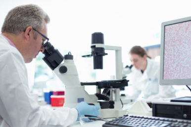 The DWS Lab