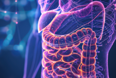 The Gut Microbiome and Liver Disease