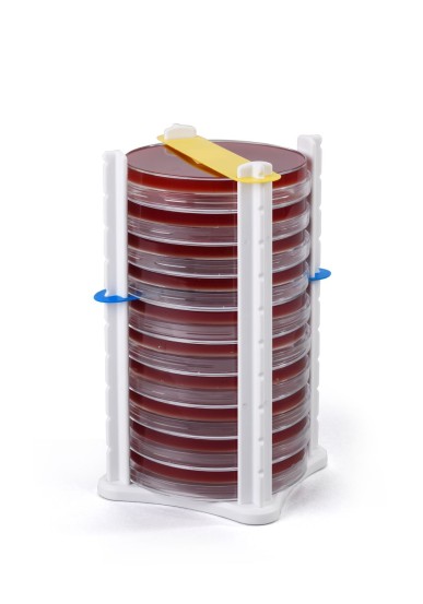 10 x Petri dish holders with 70 x tag set