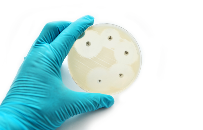 Antimicrobial Resistance: A Global Problem