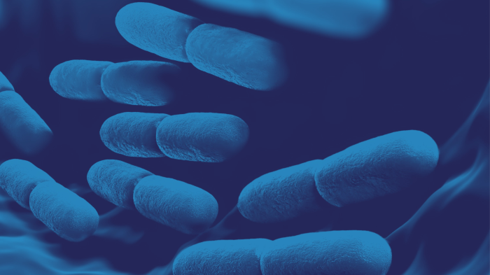 Faecal Microbiota Transplantation and the Clinical Potential of the Human Microbiome
