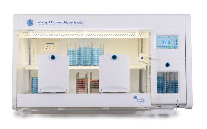 Whitley Workstation Used in Study of Gene Essentiality in C. difficile