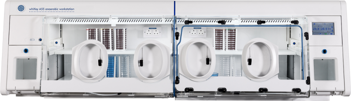 Whitley A55 Anaerobic Workstation installed at Royal Preston Hospital