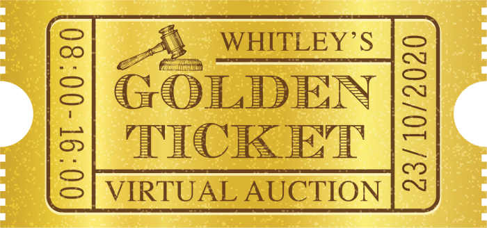 Virtual Auction for Refurbished Media Preparator | 23rd October 2020