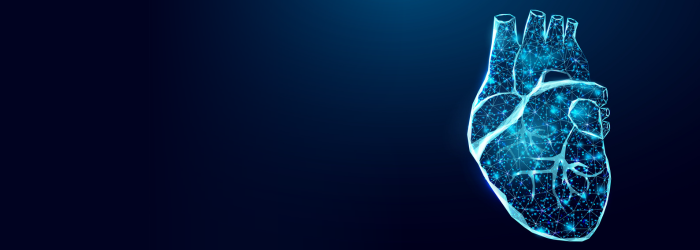 The Link Between Dental and Heart Diseases: A Potential New Treatment For Periodontitis