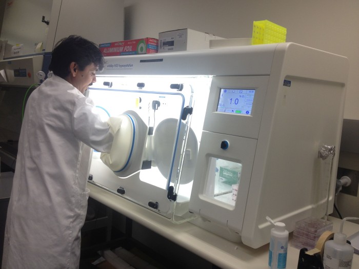Whitley H35 Hypoxystation used in heart regeneration project