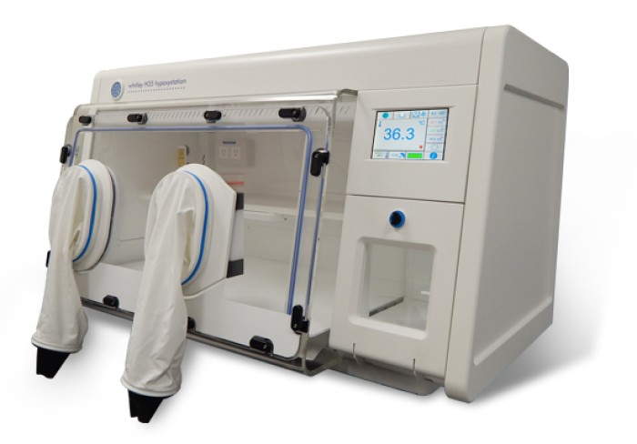 Visit HypOxygen at the AACR Meeting in San Diego