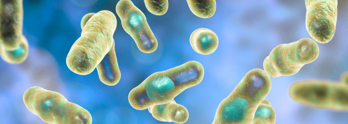 Clostridium perfringens