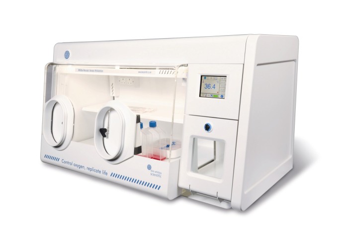 Making a difference in hypoxia research